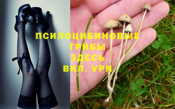MESCALINE Новозыбков