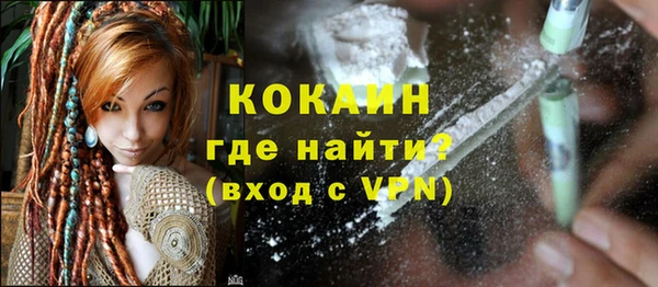 мяу мяу кристалл Няндома