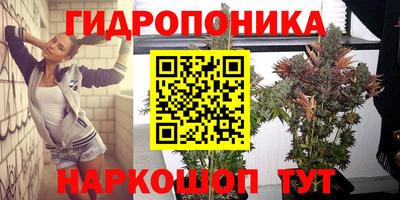 крисы Бийск