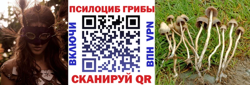 Галлюциногенные грибы GOLDEN TEACHER  Кубинка 